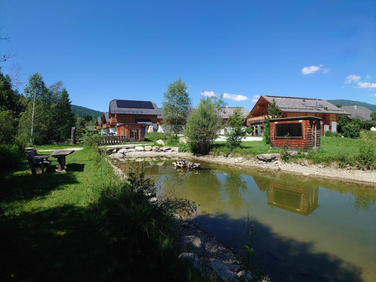 Apartment Samspitze Mariapfarr Εξωτερικό φωτογραφία